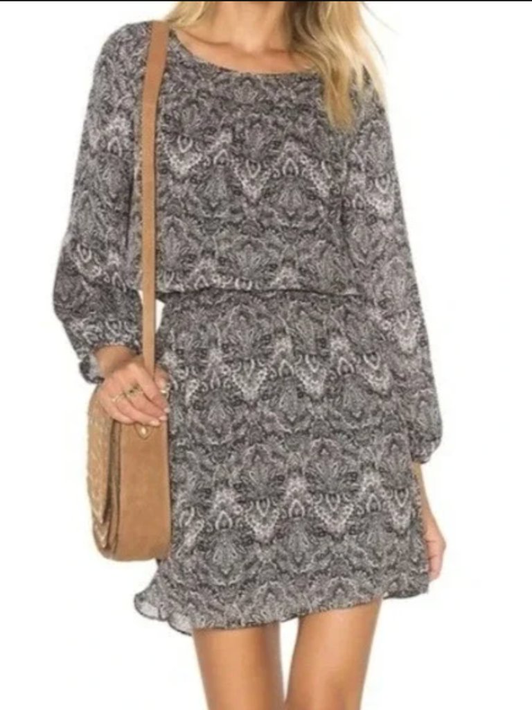 Joie Amedeo Silk Black And White Drop Waist Dress